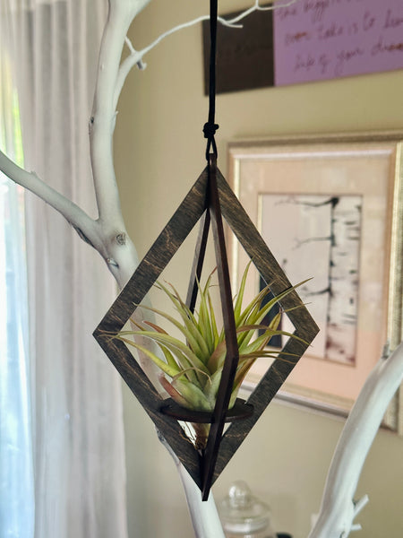 Handmade Large Diamond Cut Holder with Air Plant made in USA