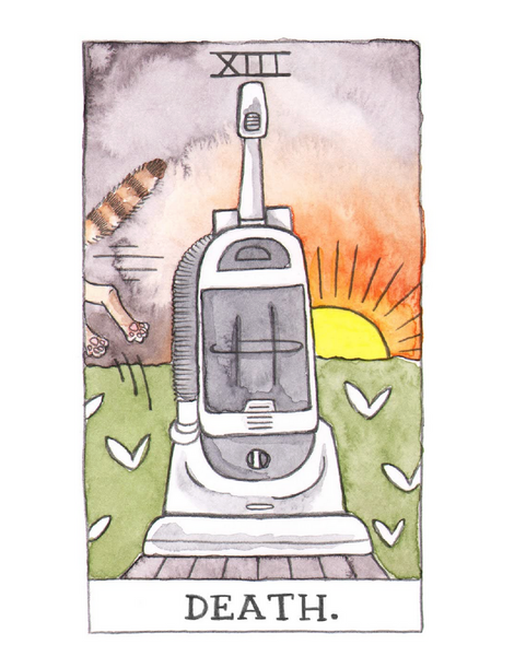 Cat Tarot Deck, 78 Cards & Guidebook