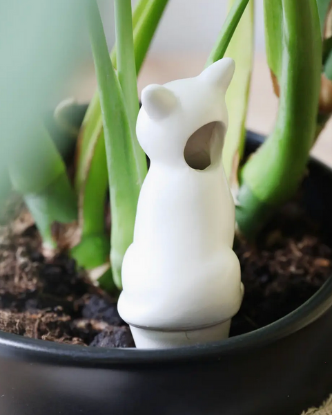 Cat Plant Watering Spike