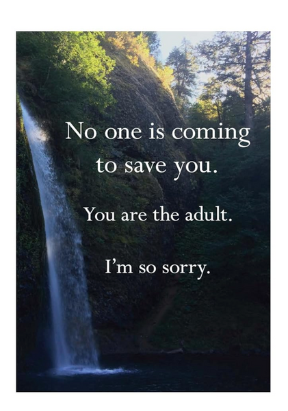 Disappointing Affirmations Book