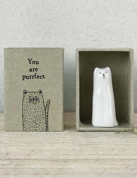Sweet Tall Matchbox Animal in Gift Box with Saying