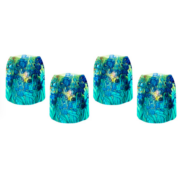 Vincent Van Gogh Irises : Luminary Lantern / Candle Holder!