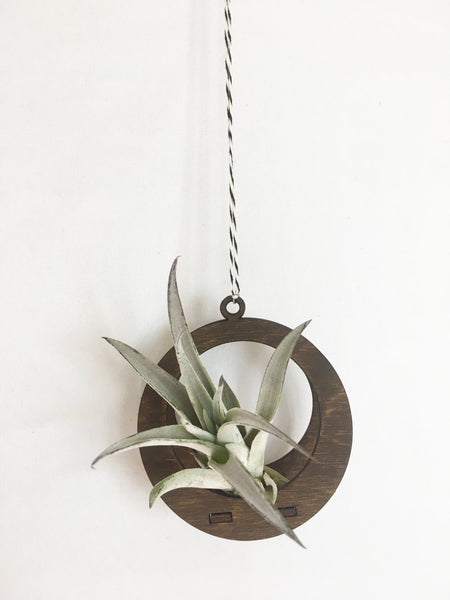 Handmade Wooden Circle Holder With Air Plant