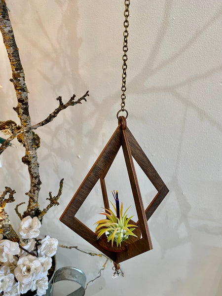 Handmade Large Diamond Cut Holder with Air Plant accents with Antique Crystal