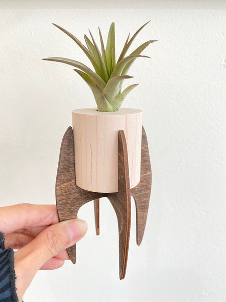 Handmade Large Modern Stand With Air Plant