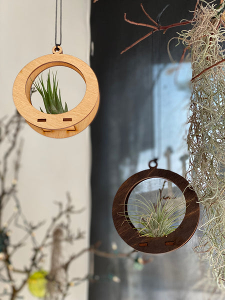 Handmade Wooden Circle Holder With Air Plant