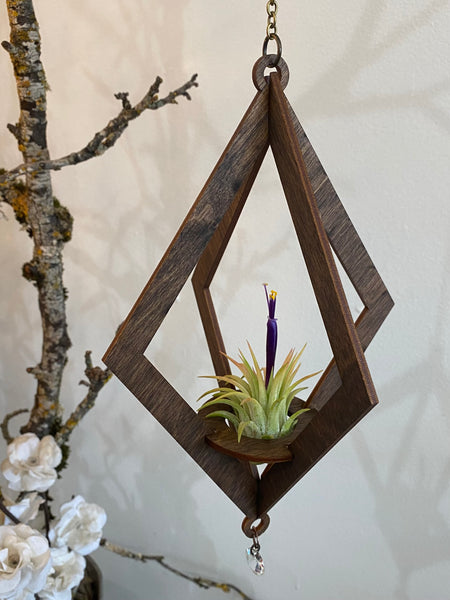 Handmade Large Diamond Cut Holder with Air Plant accents with Antique Crystal