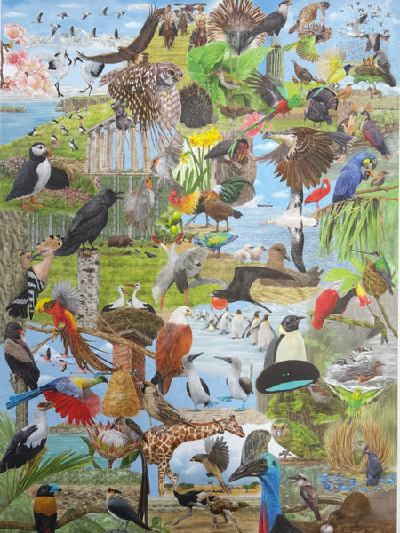 Around the World in 50 Birds 1000 Piece  Puzzle
