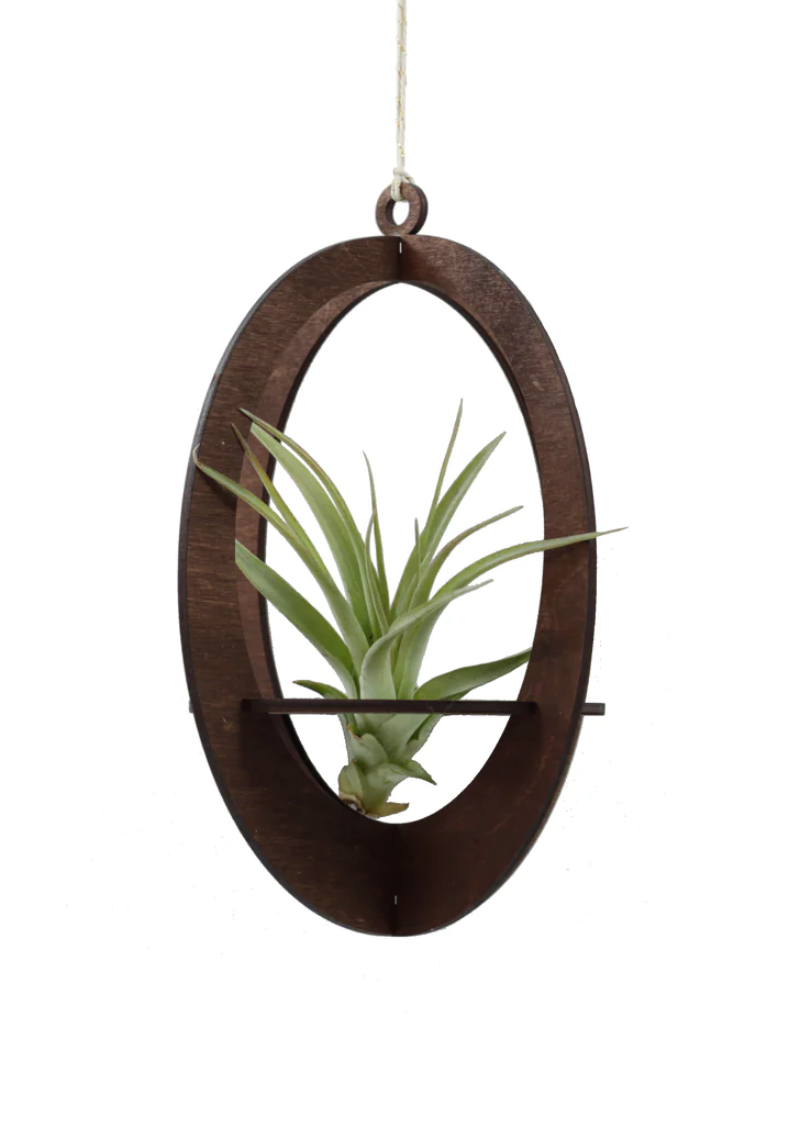 Handmade Large Oval Cut Air Plant Holder