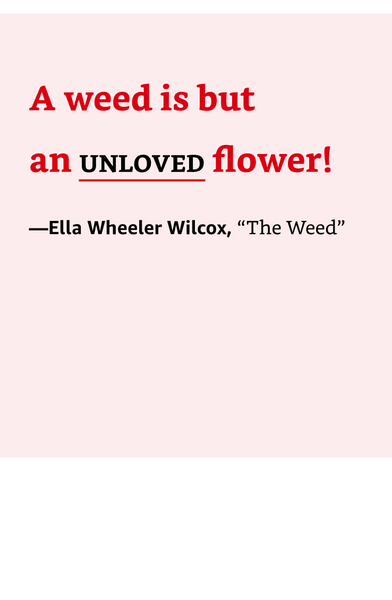 Pocket Nature: Flower Finding: Delight in the Splendor of Wild Blooms