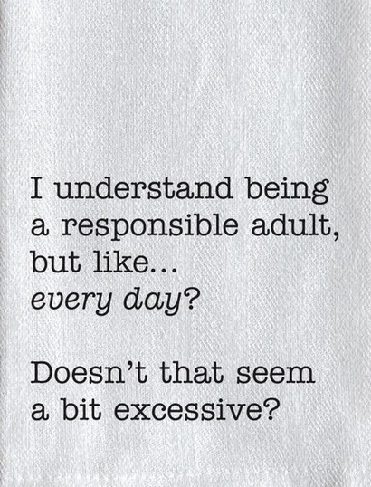 I understand being a responsible adult but like every day…Dish Towel