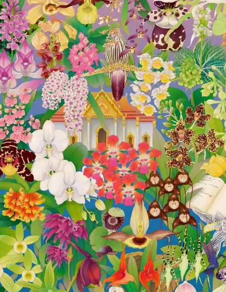 Around the World in 50 Orchids 1000 Piece Jigsaw Puzzle