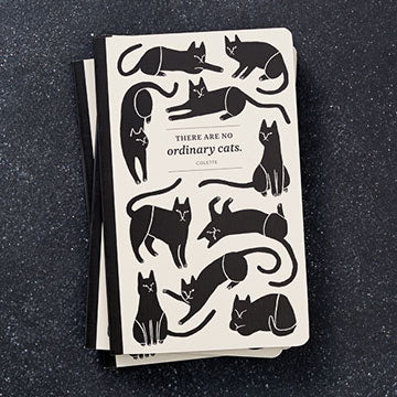 There are No ordinary cats journals