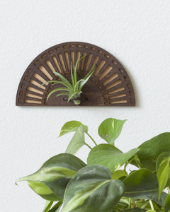 Sunray Wooden Cut Air Plant Wall Hanger