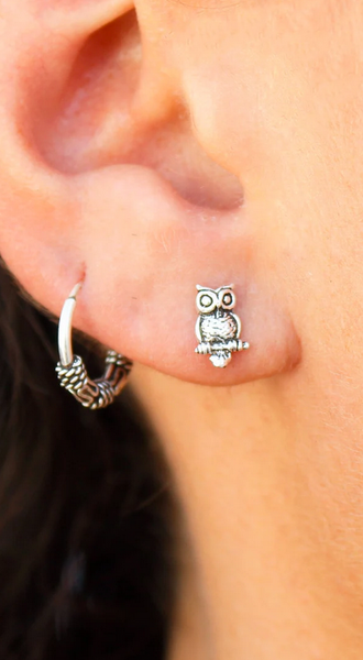 Owl 925 Sterling Silver Stud Earrings