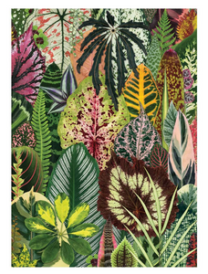 Houseplant Jungle A5 Journal