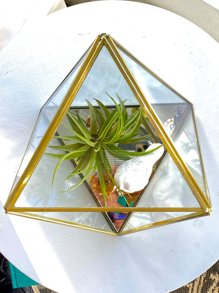 Heptahedron Gold Metal Geometric Glass Terrarium, Multipurpose Air Plants Holder