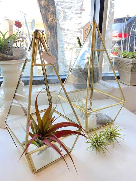 Pyramid Gold Metal Geometric Glass Terrarium, Multipurpose Air Plants Holder
