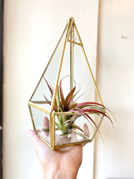 Pyramid Gold Metal Geometric Glass Terrarium, Multipurpose Air Plants Holder