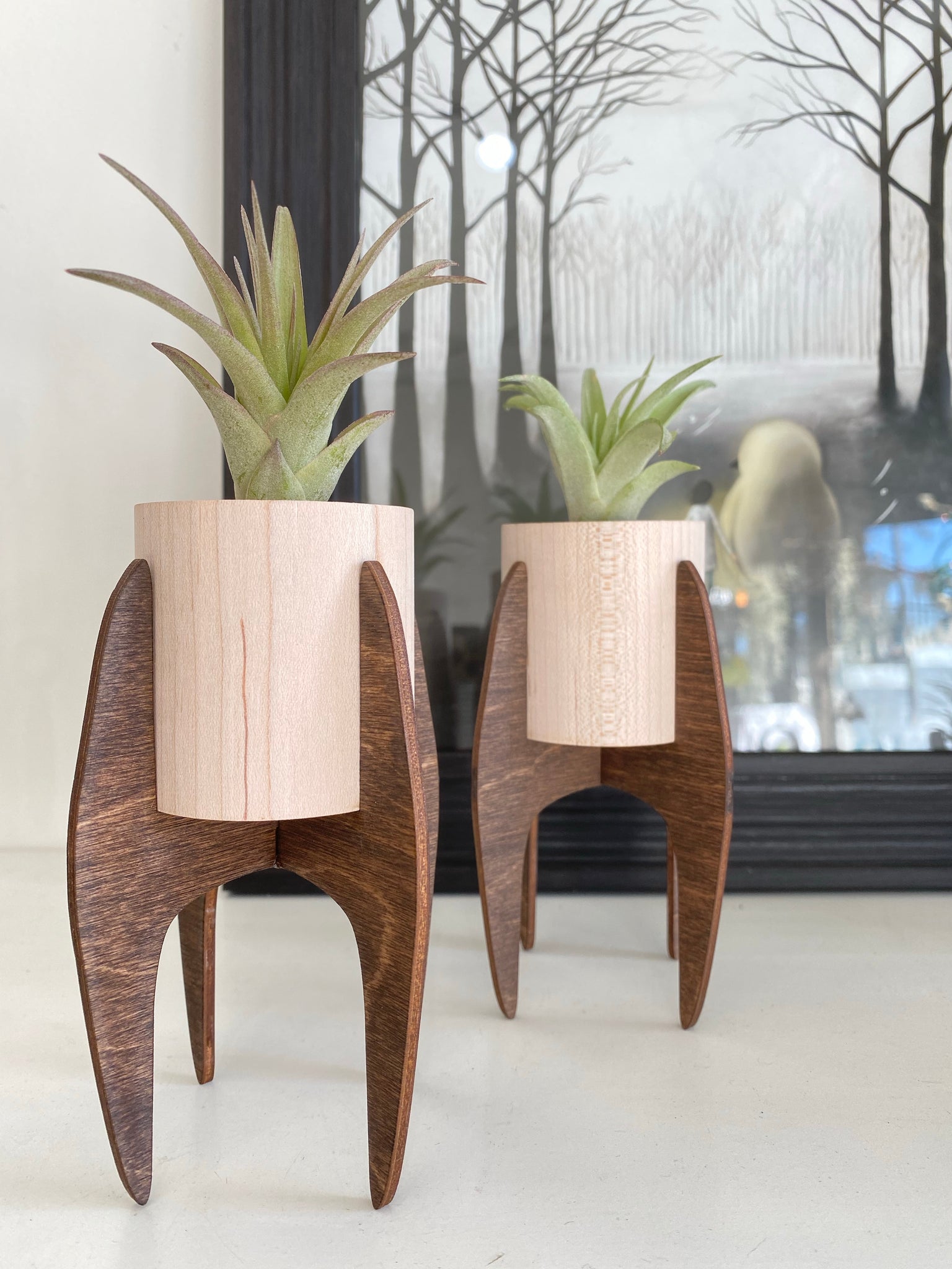 air plant stands Handmade Large Modern Stand With Air Plant – MomentsHaveYou