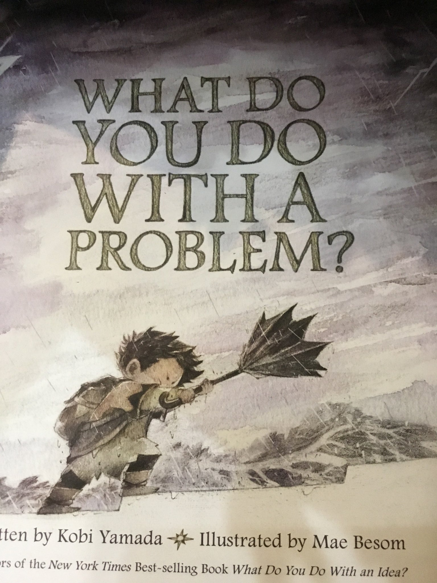 What Do You Do With A Problem? Book