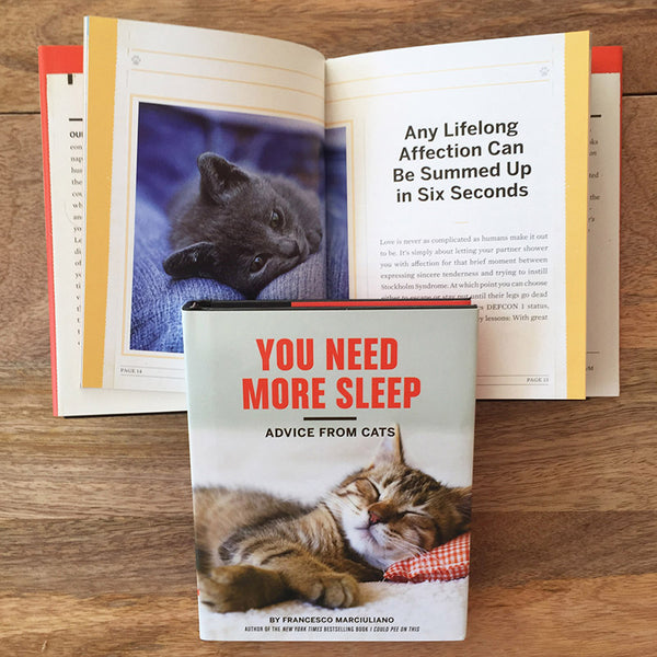 You Need More Sleep Cute Cat Book